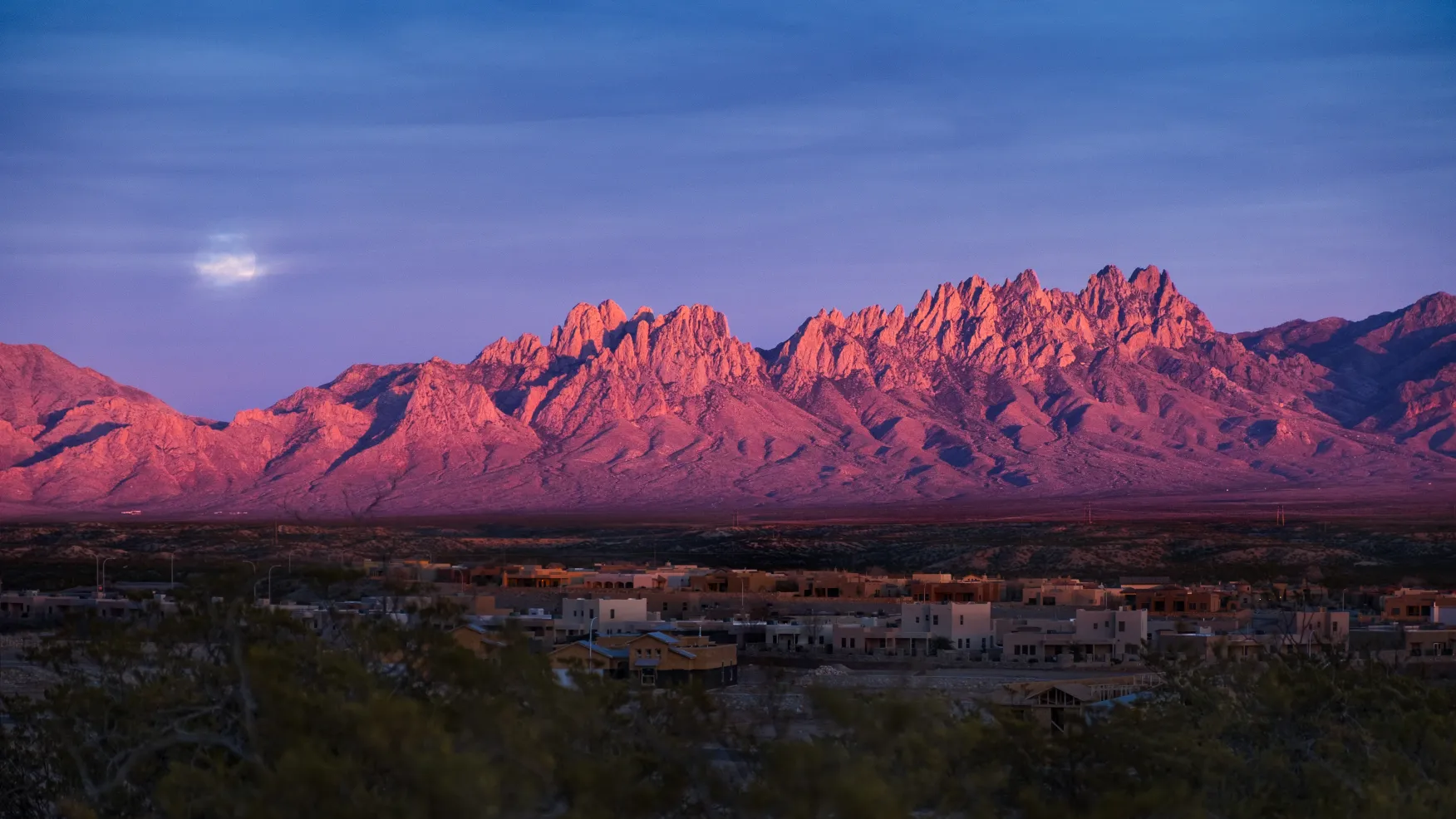 Organ Mountains